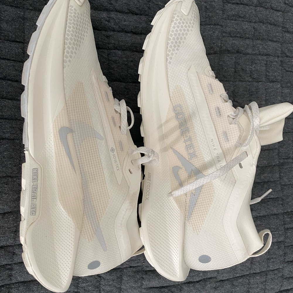 Nike Pegasus Trail 5 GTX (Gore-Tex)